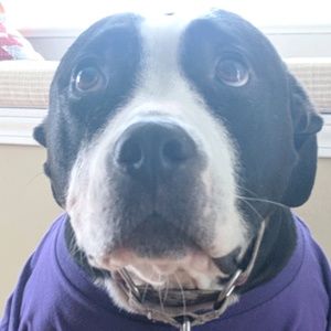 Meet your Posher, Sean